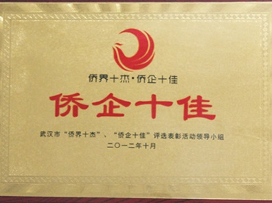 武汉市侨企十佳